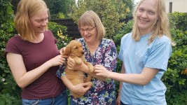 09 Hanna Eva Lisa Mit Awesome Aiven 09 Hanna Eva Lisa Mit Awesome Aiven