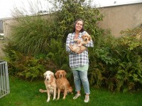 08 Gelbe Huendin Willi