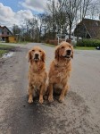 Vicky Und Viertje Vicky Und Viertje