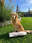 Jette 7 Jahre Jette 7 Jahre