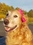 Leelou 7 Jahre Leelou 7 Jahre