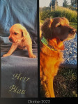 Urs Balthasar 7 Jahre Urs Balthasar 7 Jahre