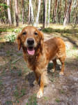 Vicky 6 Jahre Vicky 6 Jahre