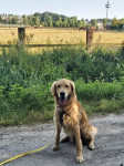 Boomer 6 Jahre Boomer 6 Jahre