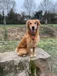 Bucky 6 Jahre Bucky 6 Jahre