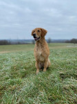 Pearl 6 Jahre Pearl 6 Jahre