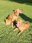 Trudy Und Sally WT Trudy Und Sally WT