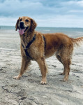 Wilma 6 Jahre Wilma 6 Jahre