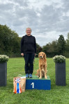Yaspar Platz 1 Yaspar Platz 1