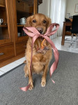 Ylvie 6 Jahre Ylvie 6 Jahre