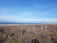 Sunny Bei Milan Sunny Bei Milan