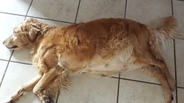 Onia Am Tag 57 Onia Am Tag 57