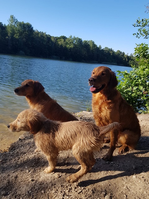 18 Ein Tag am See mit Sunny und Ylvie