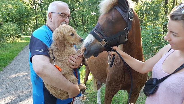 19 Grosse und kleine Tiere